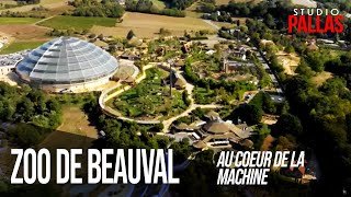 ZooParc de Beauval: Au coeur de la machine - STUDIO PALLAS