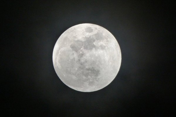 Лунный календарь для садоводов и огородников с 6 по 8 апреля 2026 года