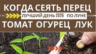 ЛУЧШИЕ ДНИ МАРТА 2026 ДЛЯ ПОСЕВА ТОМАТОВ, перцев  И ОГУРЦОВ Золотые дни  по лунному календарю
