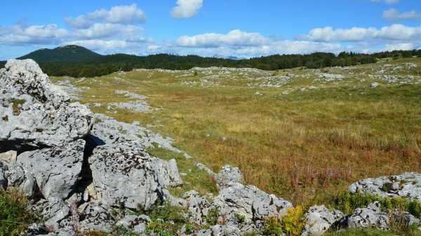 Archéologie 2.0 : sans faire la moindre fouille, des chercheurs révèlent des tombes vieilles de 5 000 ans sous des champs en Bohême