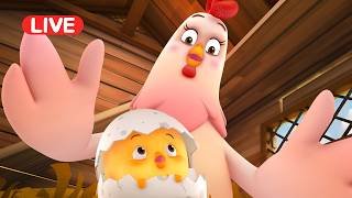 ★LIVE! Como Kids TV | Pat a pat full episodes | Cartoon video for kids | Animation