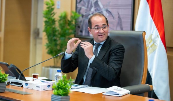 Finance Minister prioritises development financing, curbs commercial borrowing - Dailynewsegypt