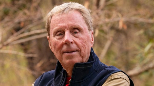 Harry Redknapp’s life off camera - horror crash and wrongful arrest