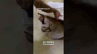 Saudi police cracks down on illegal Hajj pilgrims