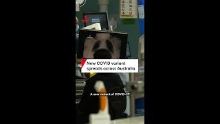 New COVID variant 'Cicada' spreads across Australia