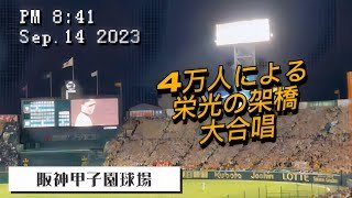 【再掲】甲子園が泣いた【栄光の架橋】阪神ファンでなくても感涙！4万人の大合唱♪
