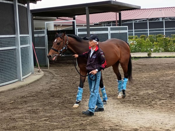 国枝元調教師が厩務員として仕事はじめ「小学校１年生になったみたい」（日刊スポーツ） - Yahoo!ニュース