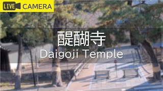 【LIVE】京都 醍醐寺ライブ中継カメラ／Daigoji Temple, Kyoto Live camera