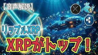 最新【リップルXRP】【衝撃】枯渇する流動性と機関投資家の猛烈な買い集めが生む「巨大な供給スクイーズ」!