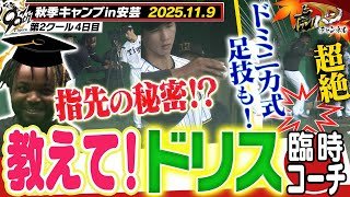 【11月9日秋季キャンプ】神直伝！ドリス臨時コーチが伝家の宝刀を若虎に指導！！超絶技巧！？ドミニカ式足技も見逃すな！！ 阪神タイガース密着！応援番組「虎バン」ABCテレビ公式チャンネル