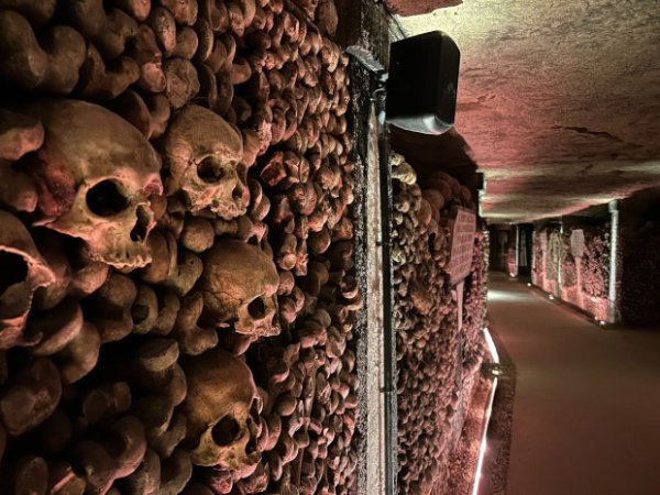 Le nouveau visage des Catacombes : immersion dans un chantier souterrain unique