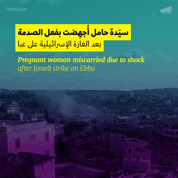 أغارت مسيّرة إسرائيلية على بلدة #عبا في #جنوب_لبنان بعد ظ...