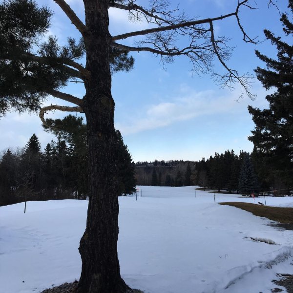 Last year we had already opened and closed the driving ra...