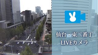 [LIVE]仙台・東二番丁(五橋)ライブカメラ/Live streaming from Sendai-city,Japan