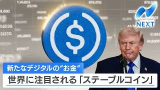 新たなデジタルの“お金” 世界に注目される「ステーブルコイン」【NIKKEI NEWS NEXT】