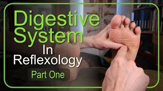 How to Work the Entire Digestive System in Reflexology (Part 1)