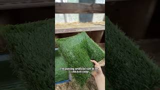 Putting TURF in my chicken coop