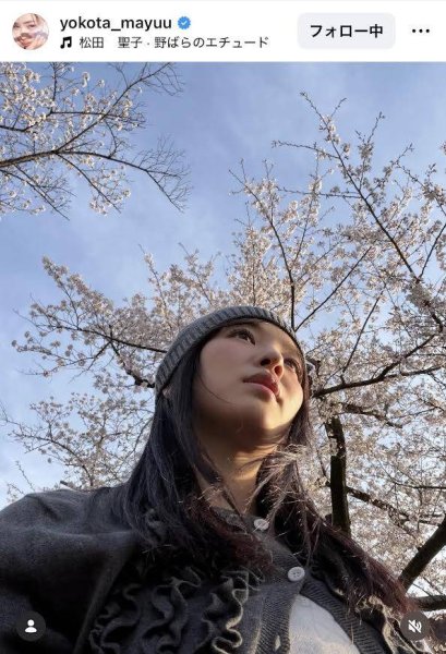 横田真悠「年々タレ目になっててる気がする」桜をバックに最新ショットをアップ - スポーツ報知