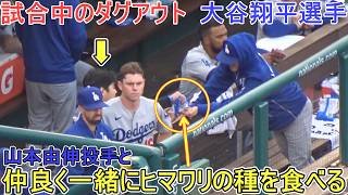 ♦試合中のダグアウト♦勝利を確信して山本投手と一緒にヒマワリの種を食べる【大谷翔平選手】 対ナショナルズ～シリーズ最終戦～Shohei Ohtani vs Nationals