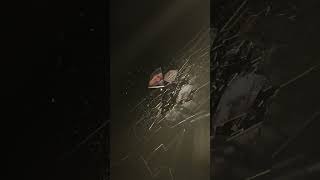 007 First Light - Limited Edition DualSense Controller