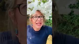 Gemma Collins in Chicago. GWWAAAANNNN girlie. Prove them all wrong.