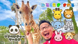 動物さんとお友達になったよ！ヒゲパパ@アドベンチャーワールド　パンダ・ライオン・キリン・シロサイ・ゾウ・ウサギ　Zoo 　Aquarium 　Panda 　Adventure World