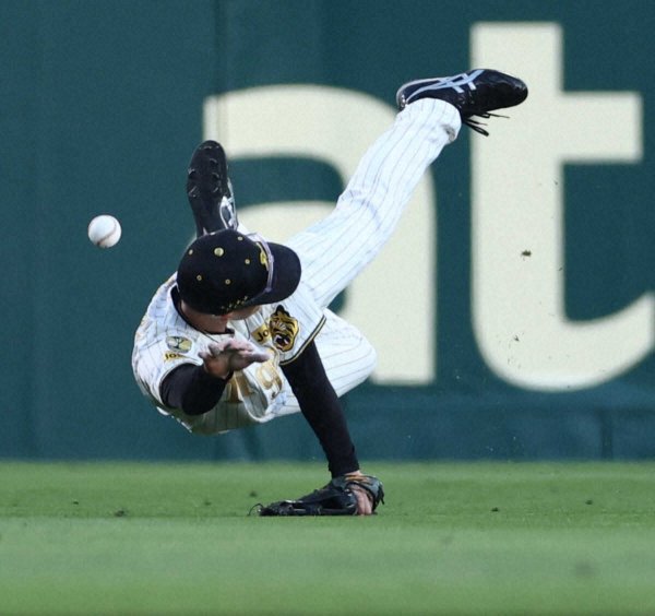 阪神・福島圭音　拙守＆バント失敗と反省の一日「きょうはすみません」（スポニチアネックス） - Yahoo!ニュース