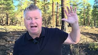 Toilet Paper Supply Disruption As Toilet Paper Building Burned To The Ground 