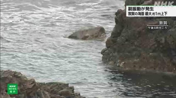 福井県沿岸で「副振動」 敦賀港で最大約１ｍの海面昇降を観測 | NHKニュース