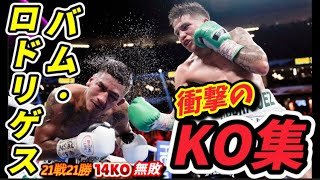 【井上尚弥はどう戦う！？】ジェシー・"バム"・ロドリゲス KO集