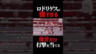 レジェンドを圧倒するロドリゲスが強すぎる　 #boxing #ボクシング