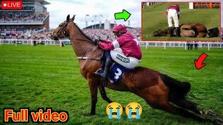 Gold Dancer Death 😢 | Wins Race Then Dies 💔 | Grand National Festival 2026 Tragedy