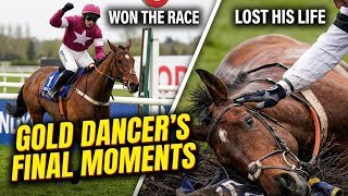 Tragic Victory: Gold Dancer Dies After Winning at Aintree Grand National Festival 2026