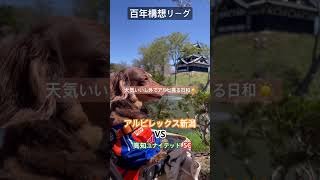 【百年構想リーグ】アルビレックス新潟VS高知ユナイテッドSC#アルビレックス新潟 #アルビ #アイシテルニイガタ #百年構想リーグ #jリーグ #サッカー #桜 #上越高田公園#高知ユナイテッドsc