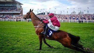 Gold Dancer Dies Moments After Winning at Aintree Grand National 2026
