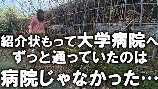 無知すぎてヤバい！１ヶ月間、祈るような気持ちで通っていた場所は病院ではありませんでした…。紹介状を持って大学病院へ。｜汚部屋｜汚庭｜汚畑｜庭仕事｜ズボラ主婦｜空家