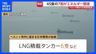 【独自】ペルシャ湾内の日本関係船舶「45隻中32隻がエネルギー関連」、タンカー12隻に“日本の消費量10日分ほど”の原油か　ホルムズ海峡“封鎖”で｜TBS NEWS DIG