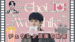 【チェウシク】ファン直伝！俳優チェウシク沼落ち動画 〜ウシクの全てを詰め込みました〜