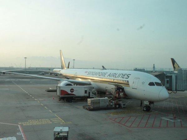 もはや日本 - シンガポール航空 口コミ・評価 | FlyTeam(フライチーム)