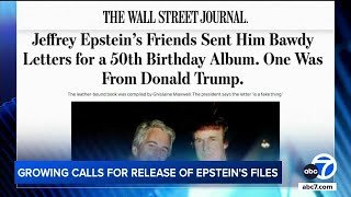 Trump files libel lawsuit against Wall Street Journal over Jeffrey Epstein story