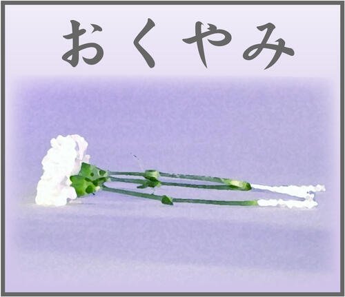 お笑いコンビ「共犯者」洋平さん26歳で急逝　所属事務所発表「あまりに突然の出来事」 - おくやみ : 日刊スポーツ