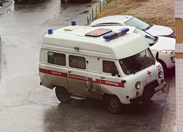 Пассажирка на ходу выскочила из машины на трассе в Мелекесском районе