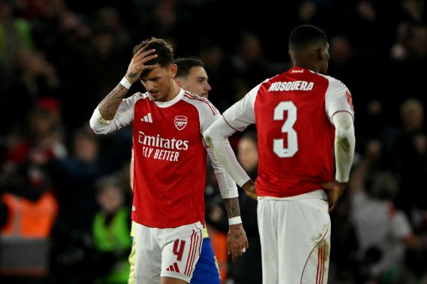 Fan sues Arsenal for emotional distress, professional negligence