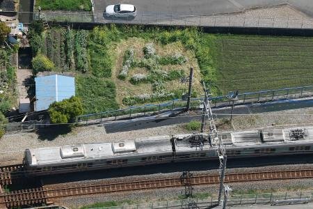 【写真】事故に警鐘「生」の花文字　ＪＲ尼崎脱線２１年、現場近く
