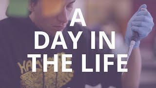 A Day In The Life at Hampshire College