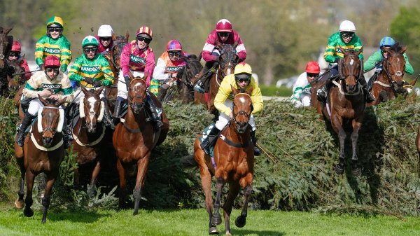 Grand National updates on injured horses as one in hospital with neck fracture