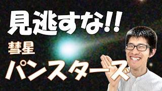 あと5日!?【今がラストチャンス】パンスターズ彗星が肉眼級に明るい！最新の姿と観測期限を解説